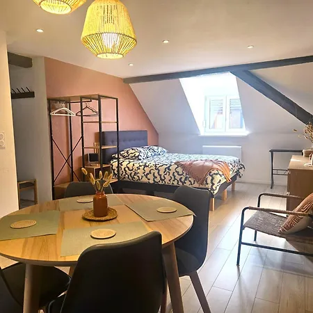 Apartament Le Cocon Du Florival - Box A Velo - Guebwiller