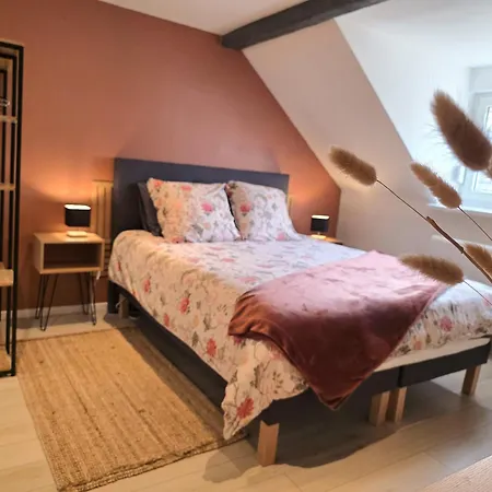 Le Cocon Du Florival - Box A Velo - * Guebwiller