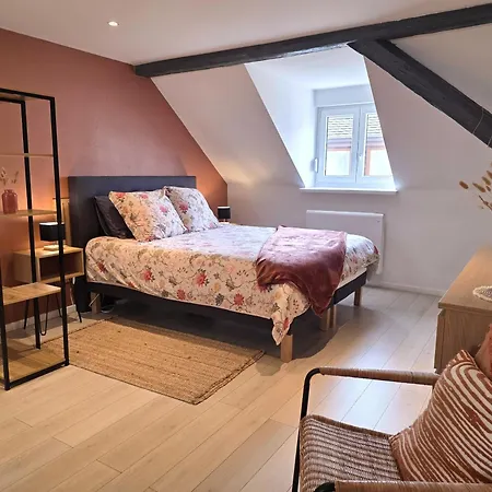 Apartment Le Cocon Du Florival - Box A Velo - Guebwiller